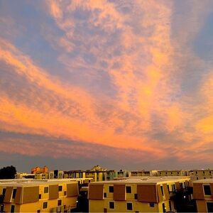 Meet your Posher, Adrian